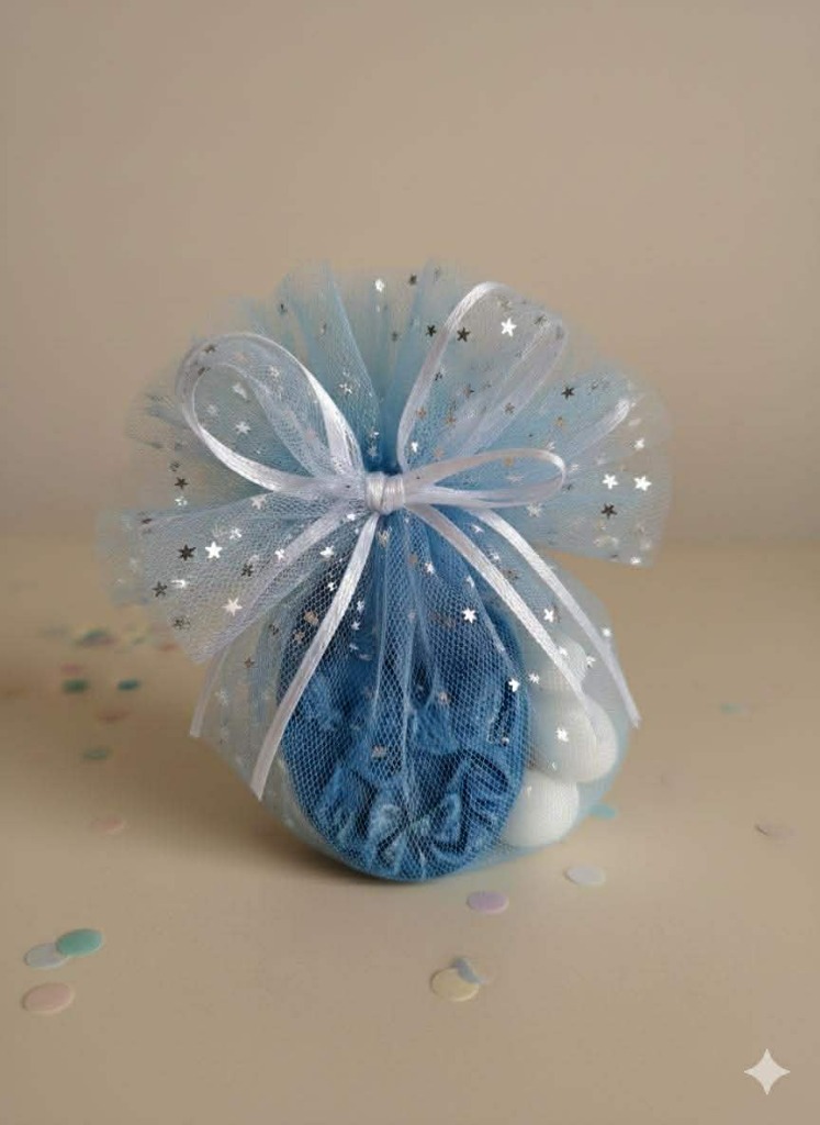 Starry Night Tulle Pouch for Boys